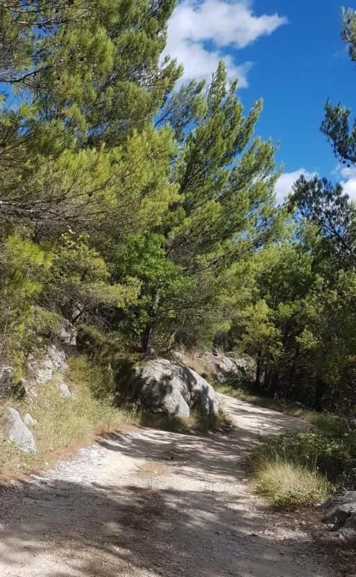 Karla Planinska Kuca Villa Baška Voda Kültér fotó